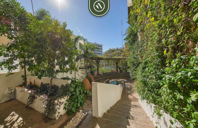 The Ava 605 in Jalisco - Foto 56