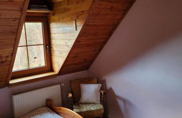 Dom w Górach Sowich Niedźwiedzia Gawra, Michałkowa - Foto 22