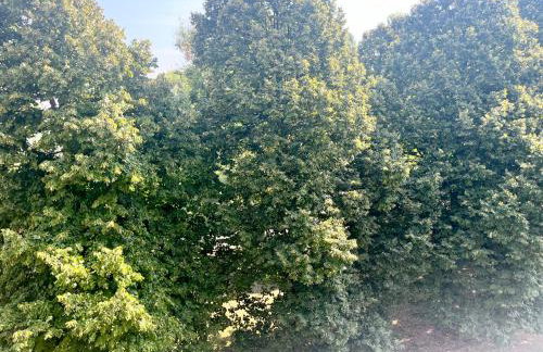 A due passi - 2 Milano - Como - Malpensa Aeroporto - Rho Fiera - Foto 11