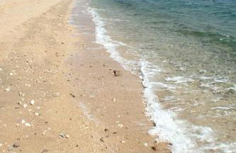 Apartments with swimming pool Caska, Pag - 3085 - Photo 45