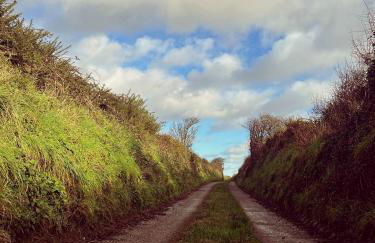 Seaside Cottage - Foto 21