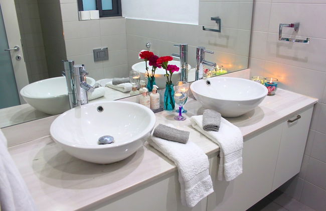 Maltese Maltese - Foto 43