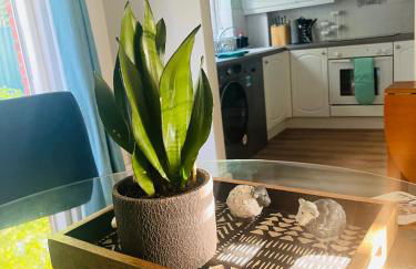 Tanglewood house Abergavenny with private parking - Foto 27