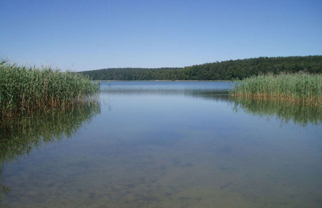 Peter Lassau Modern Retreat - Foto 18