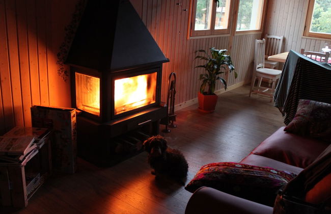 Eco Urbión - Foto 14