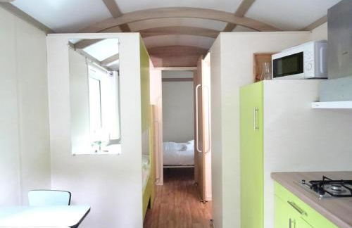 La Roulotte à 10min de Disneyland Paris - Cabane & Cabanon - Foto 23