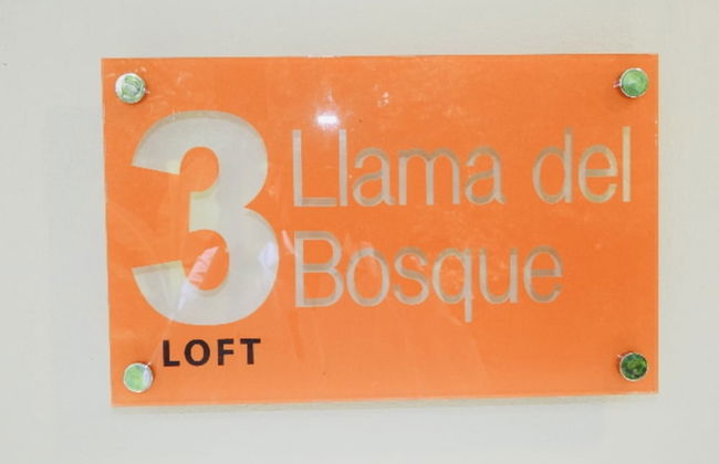 Relaxing Sound of River Birds Squirrels - Foto 33