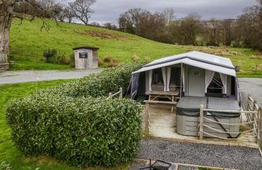 King Fisher - Foto 1