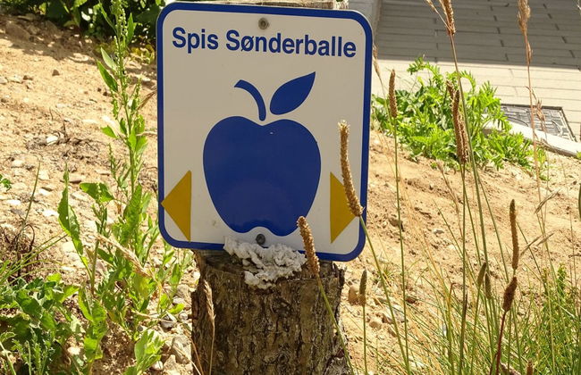 "Veselin" - 100m from the sea - Foto 5