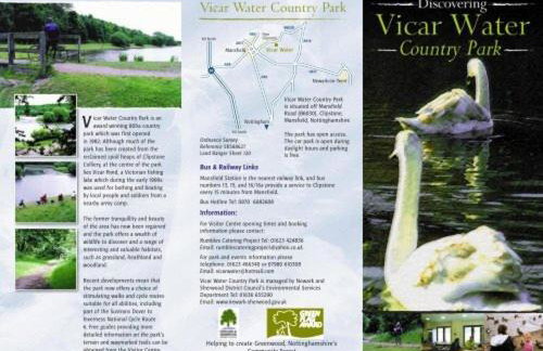 Luxury modern home log fire & outdoor living - Foto 30