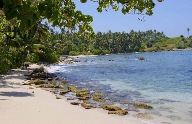 Elevated Family Beach House With Ocean Views - Foto 33