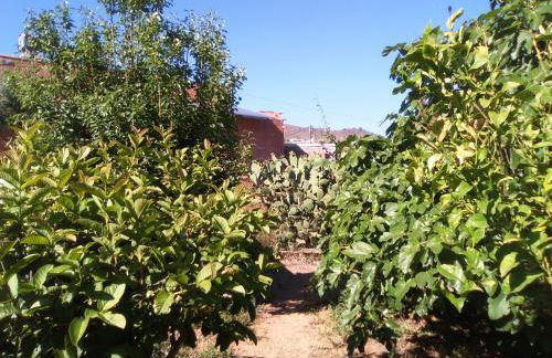 Casa de los abuelos - Foto 43