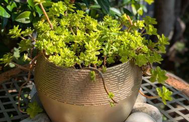 4bedrooms house sleeps14 Garden&Parking Ably Stays - Foto 51