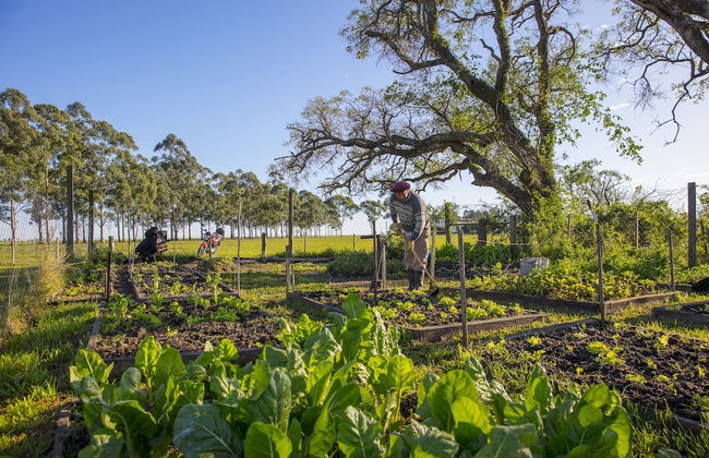 Estancia San Agustín - Foto 30