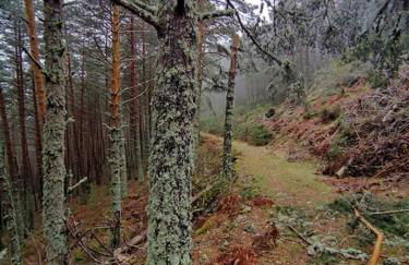 Via Fera, con vistas a la naturaleza - Foto 27