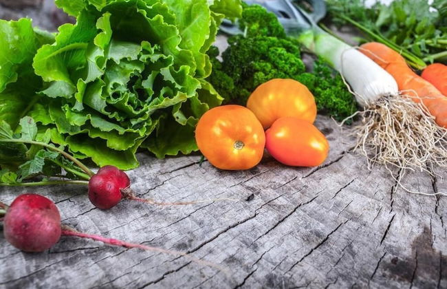 Agroturystyka u przyjaciol Soni - Foto 36