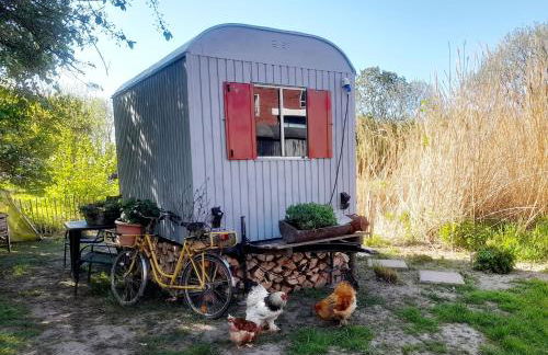 Übernachtung im Bauwagen an der Nordseeküste - Photo 7