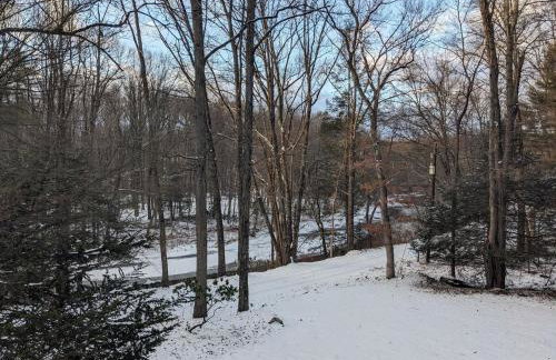 Hidden River Lodge at Hawk Mountain - Foto 41