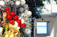 Seaside Oasis - Foto 5