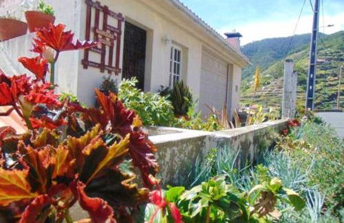 Charming house in Machico with mountain view and garden - Foto 17