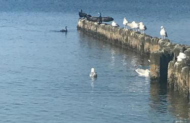 Apartament Dune A 004 - Foto 12