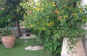 Casa del mare - Foto 11