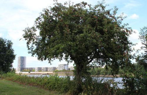 Modernes Loft-Apartment, nahe Weser, bis 4 Pers - Foto 45