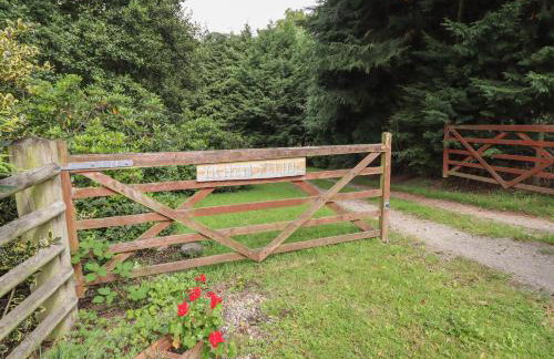 Yr Hen Felin - Foto 23