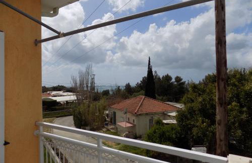 JERRY'S STUDIOS LASSI - Photo 12