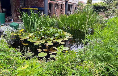 Am Storchennest - Foto 21