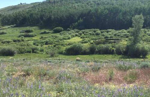 Cabin Rental for Large Groups Ideal for Colorado Glamping - Foto 78