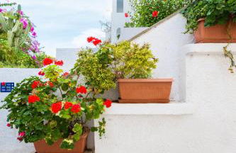 Ekaterini Hotel - Foto 20