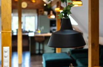 Pine Cone Loft on Baden-Baden's Panorama Trail - Foto 26