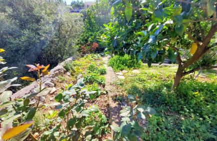 Euryclea Apartments - Foto 12