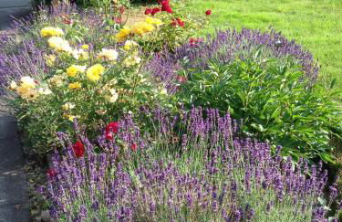 Ferienwohnung Weitblick - Photo 27