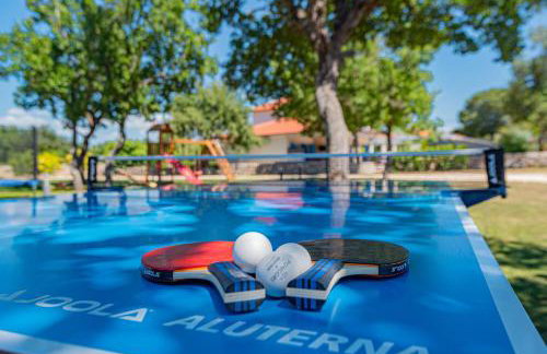 Villa Romansa Miljevci near Krka National Park - Photo 29