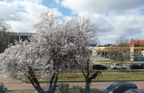 Apartment mea - Foto 15