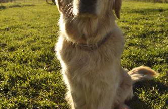 Un Air de Die - Foto 37