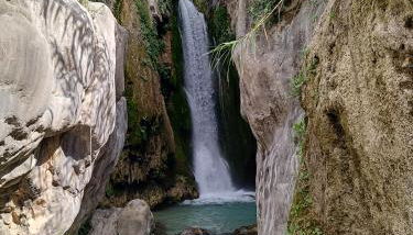 Las Ramblas 828 - Foto 4