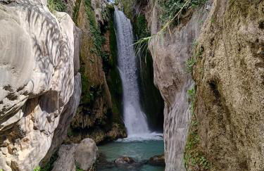 Las Ramblas 828 - Foto 4