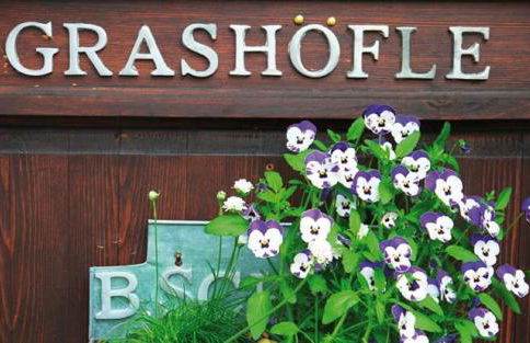 Grashöfle - Foto 16