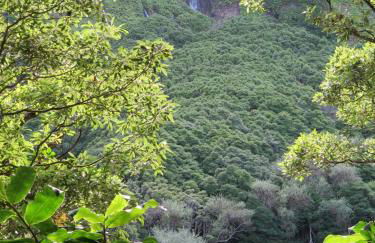 Casa da Travessa - Foto 16