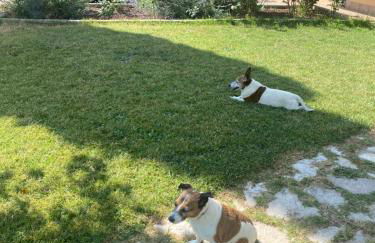 Casa Isabelle - Foto 11