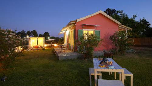 Ailanto - Foto 4, Garden