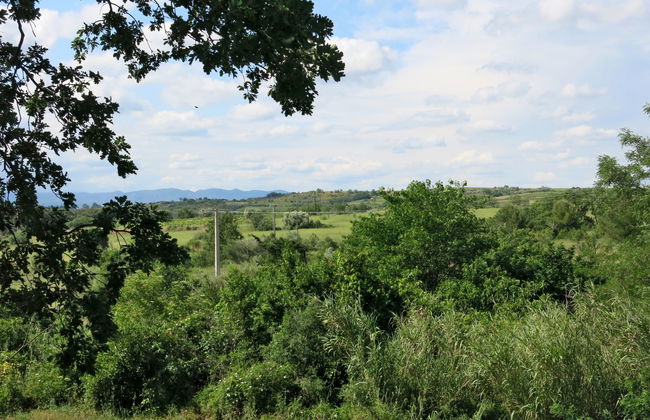 Côté Sud - Foto 29