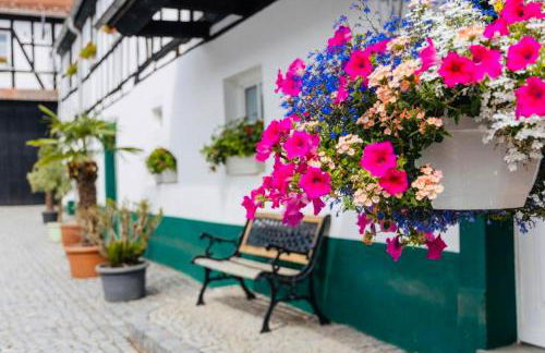 Thüringer Tannenhof Ferienwohnungen - Foto 9