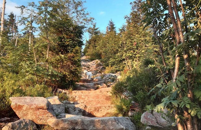 Apartment in Goggersreut mit Terrasse - Foto 20