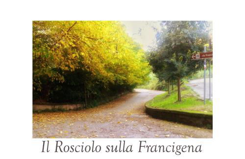 Il Rosciolo Sulla Francigena - Foto 77