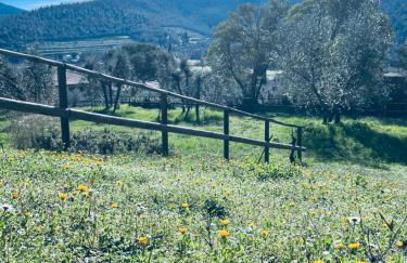 Apartment Sotto la Lucertola - Foto 46