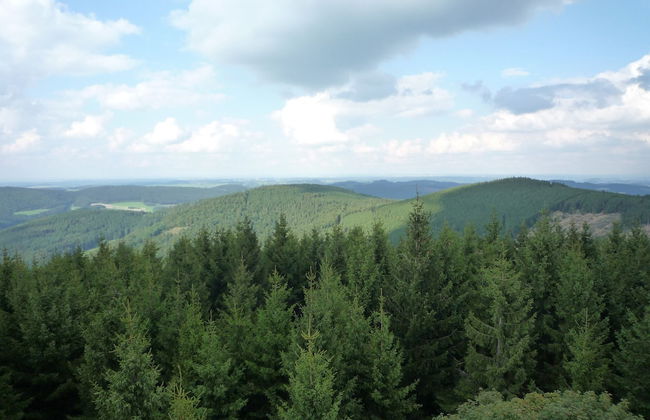 Ferienwohnung in der Nahe des Skigebietes - Photo 33